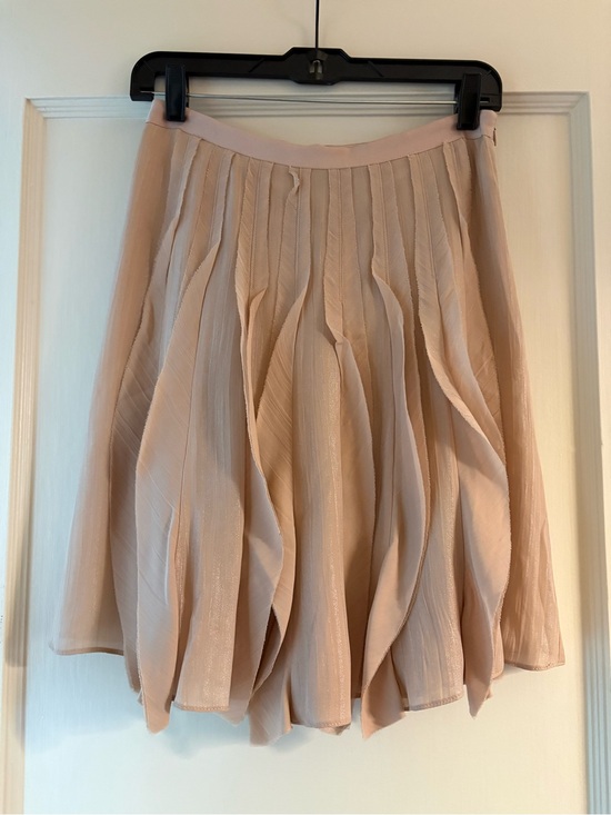 Ann Taylor Dresses & Skirts - Ann Taylor Silk Skirt in Champagne Color - Petite